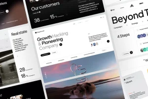 Website Company Profile - Paket Basic