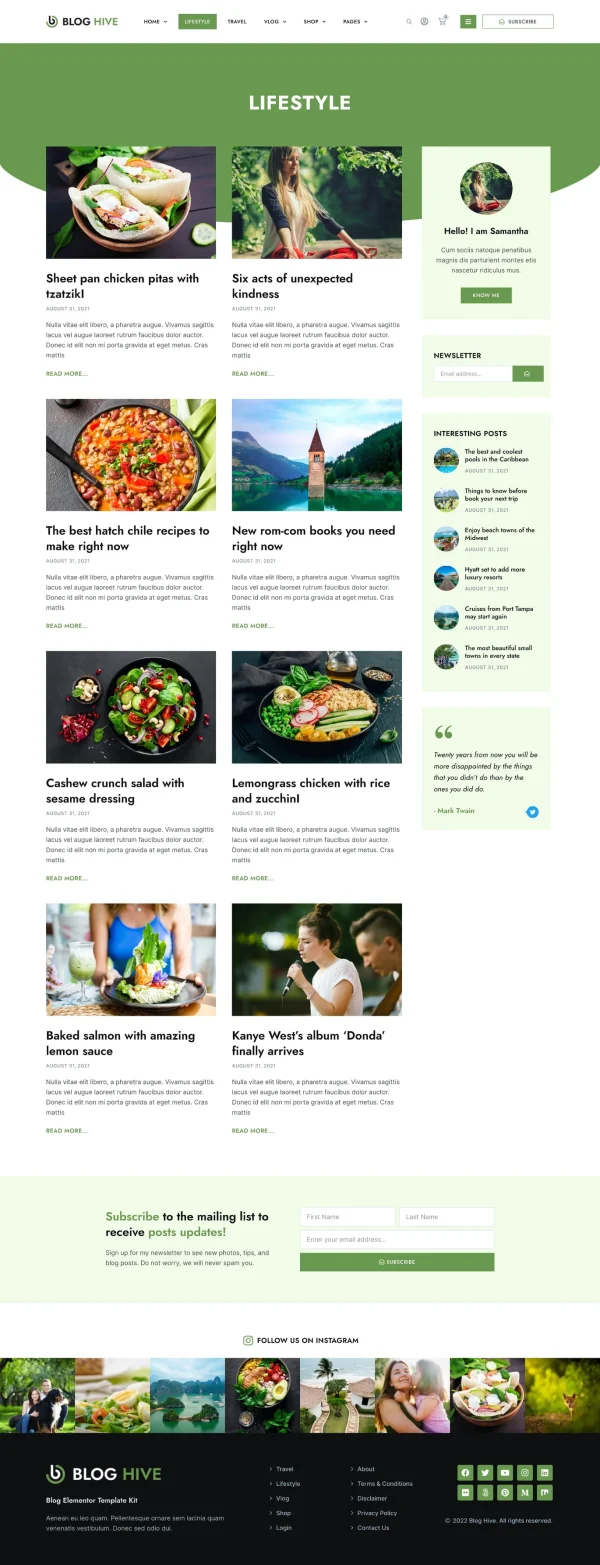 Blog Hive - Personal Blog Elementor Template Kit - Image 12