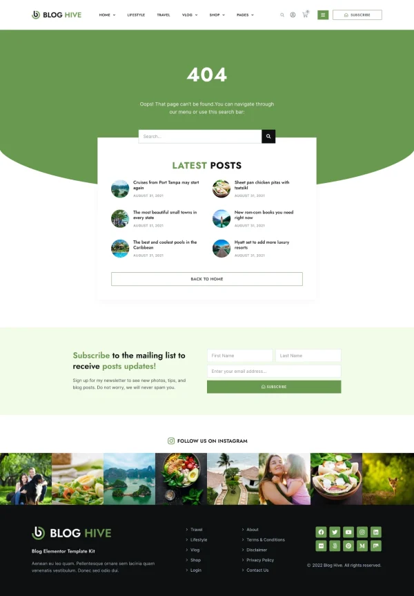 Blog Hive - Personal Blog Elementor Template Kit - Image 11