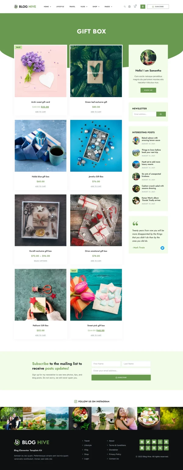 Blog Hive - Personal Blog Elementor Template Kit - Image 3