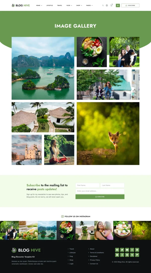 Blog Hive - Personal Blog Elementor Template Kit - Image 19