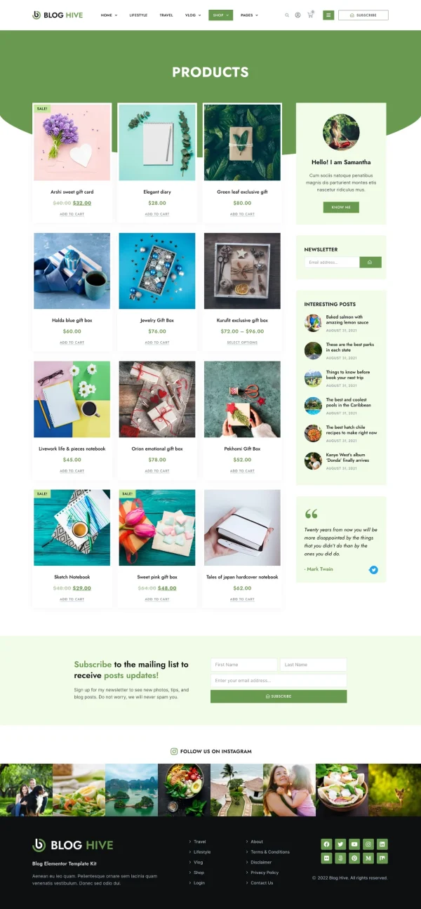 Blog Hive - Personal Blog Elementor Template Kit - Image 16