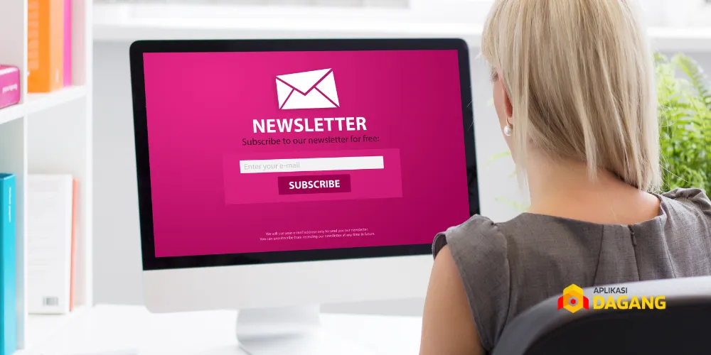 Formulir berlangganan email newsletter di website