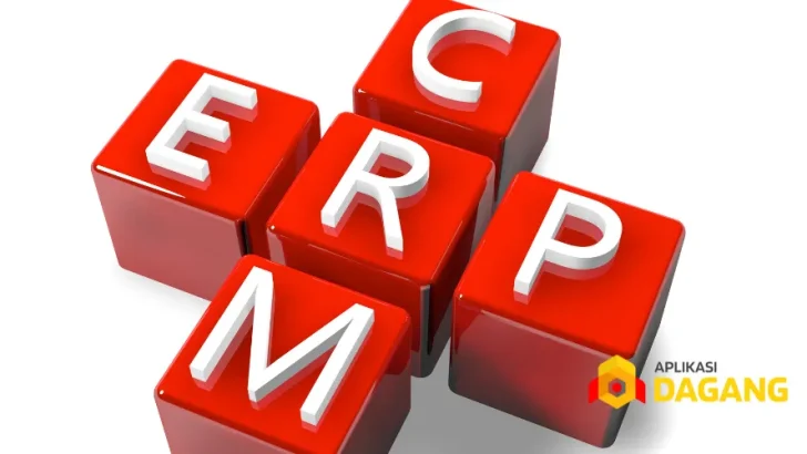 ERP Custom Jakarta: Keuntungan untuk Bisnismu